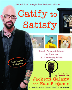 catifytosatisfy